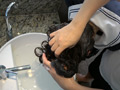 スーパーロングヘア女子○生の放課後シャンプー 洗髪
