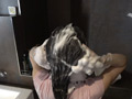 スーパーロングヘア人妻 【人妻洗髪クラブ】