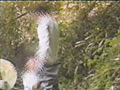 和歌山ニャン2倶楽部の傑作選 露出にハマるカップル