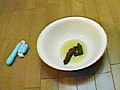 吉沢寛美の毎日のウンコ15日間1