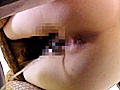 汲み取り便所13