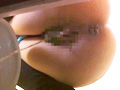 汲み取り便所19