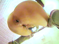 パンストお嬢様の排泄鑑賞4