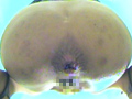 海浜便所 うんこ総集編2