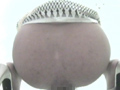 丸見え女子便所4