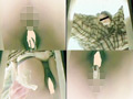 オールうんこ 汲み取りトイレ下から○撮