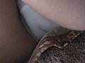 熟女シミ付きしゃがみパンチラ○撮