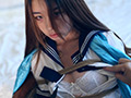 美少女スレーブ養成日記