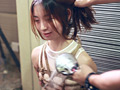 美少女スレーブ養成日記