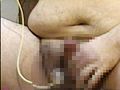 肥熊1