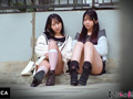 VERONICA S.Y.＆M.S.