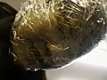顔面ラップ窒息○問