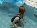 ゼンタイアイドル