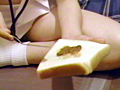 検便