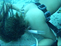 AQUA SEX2