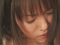 恥じらいの女たち 美人令嬢 汚された果実