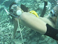AQUA SEX3