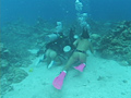 AQUA SEX3