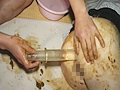寝糞 みかん