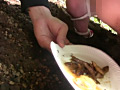 のら糞4 青山はるな