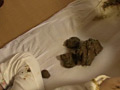 寝糞2 軟体女子の大漁もり便