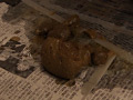 背徳の親子糞3 前島あみ