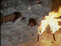 折● 雪化粧