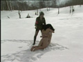 折● 雪化粧