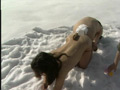 折● 雪化粧