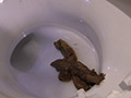 ～私生活うんこ自画撮り～うらんの変態日常動画
