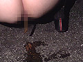 ～私生活うんこ自画撮り～うらんの変態日常動画