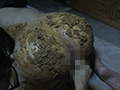 ●制肛門こじ開け寝糞 麻美