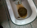 旅するSMパフォーマー曖羽裸ゆめ 私生活うんこ自画撮り