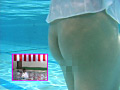 ドキッ！女だらけのTバック水泳大会66人300分
