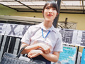 SEX格差調整庁 希咲那奈 星乃夏月