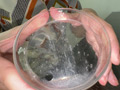 【個人撮影】加護まりの「濃縮還元唾液」を噴霧してみた