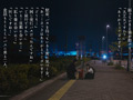夜行バスで巨尻奥さんと中出しワンナイトラブ 美園和花