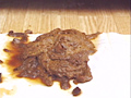 自然便大辞典1