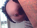 自然便大辞典2